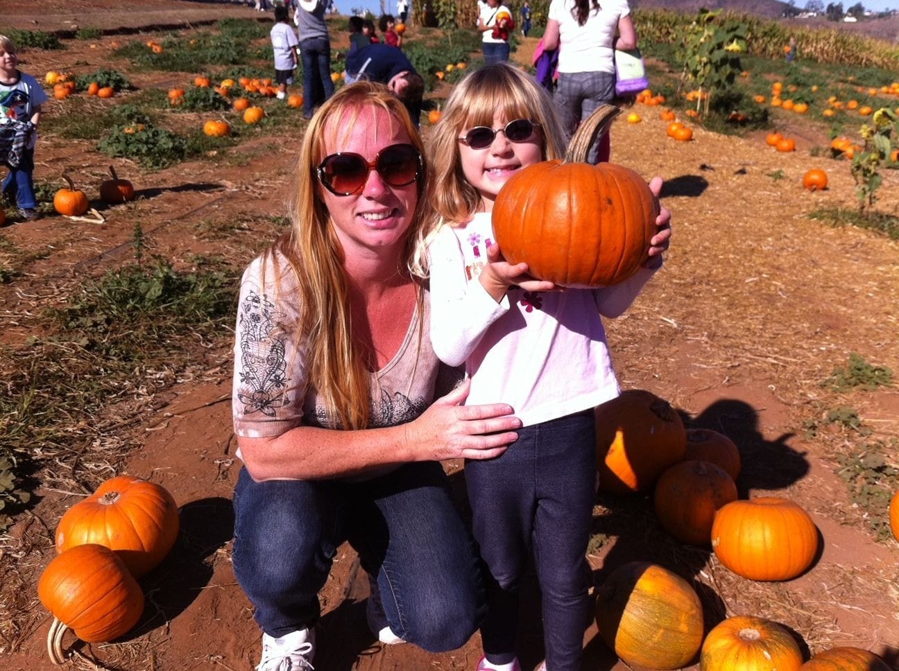 Best Pumpkin Patch in Humble Texas, Deerbrook Mall